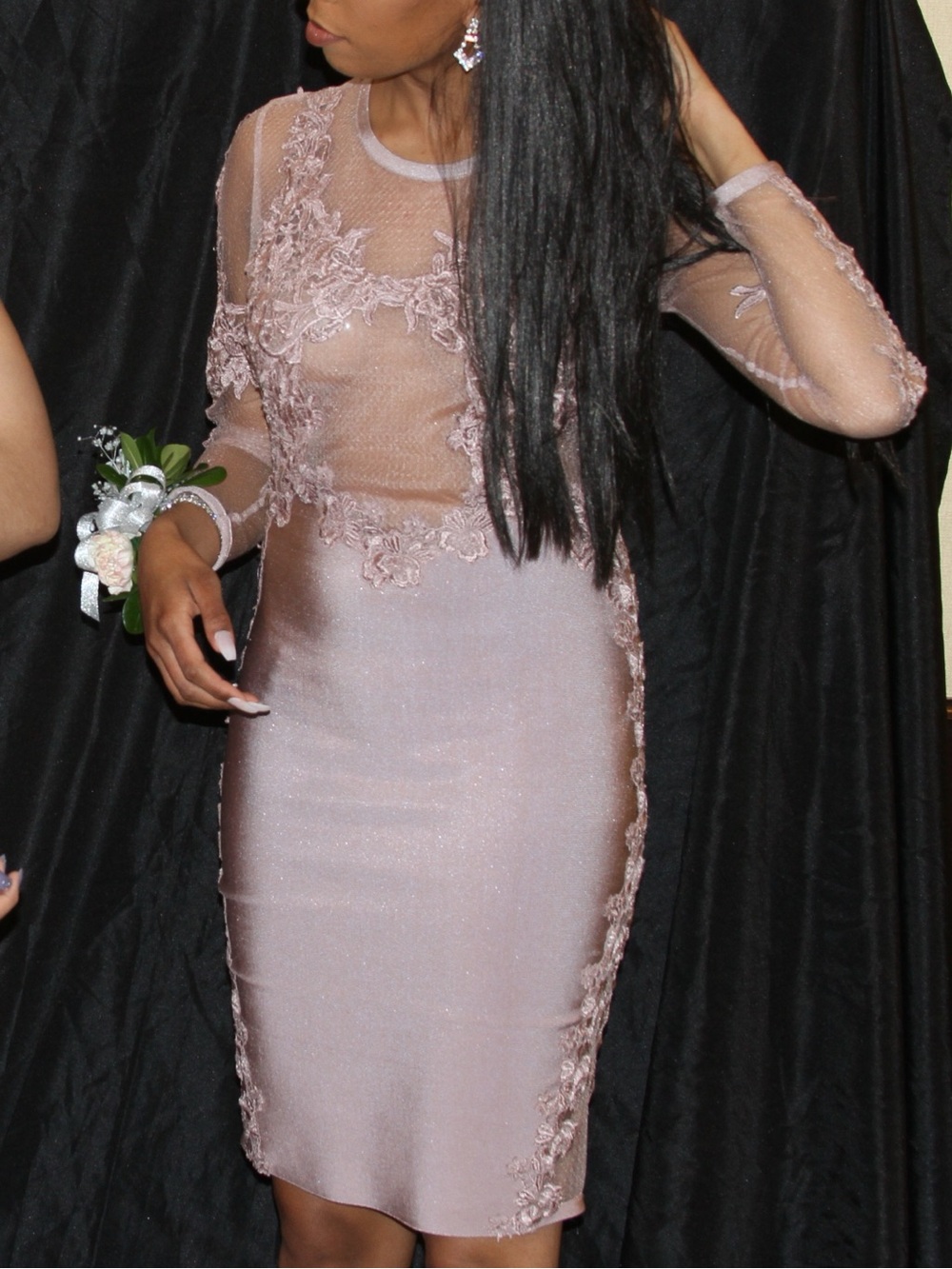 Gold Label: Sheer Lace Illusion Bodycon Dress in Dusty Pink